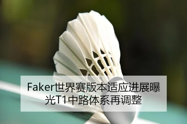 Faker世界赛版本适应进展曝光T1中路体系再调整